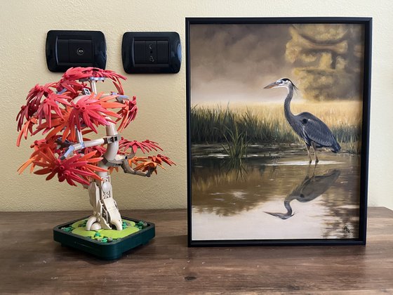 Great Blue Heron on Marsh