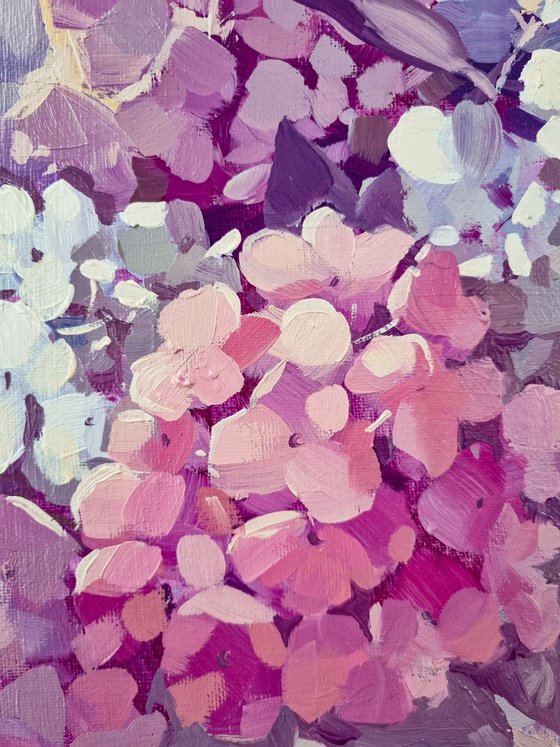 Hydrangeas