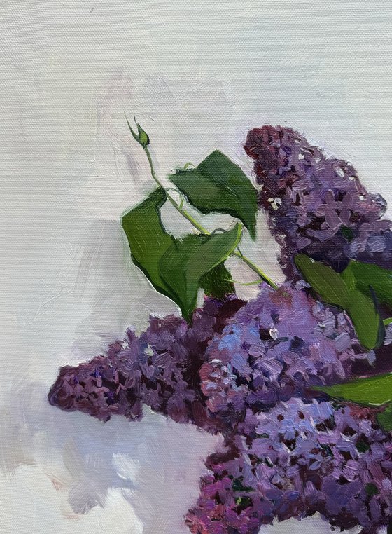 Still life with lilacs
