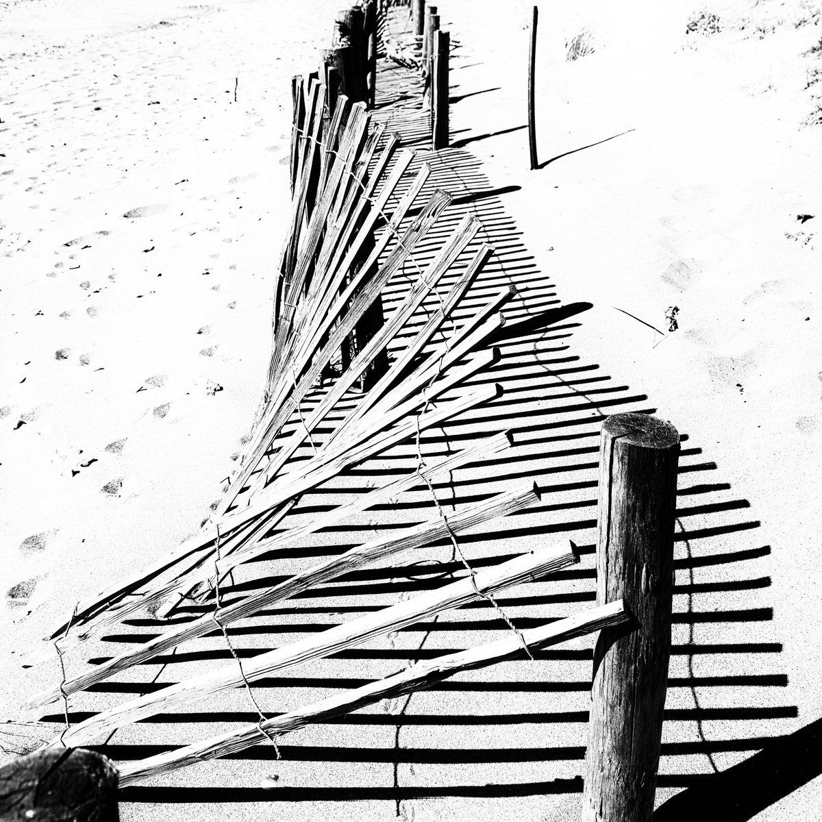 Photorealistic Landscape Photograph By Christian Schwarz, 17 X 17, Vague i? L