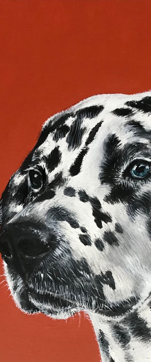 Spot by Amanda Lakin Art