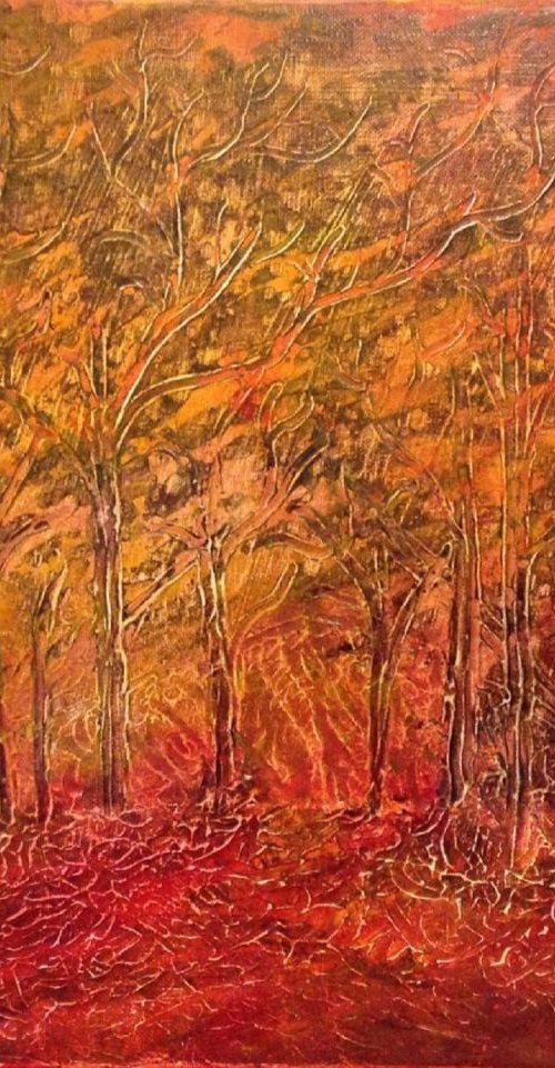 Forest by Carol Zsolt