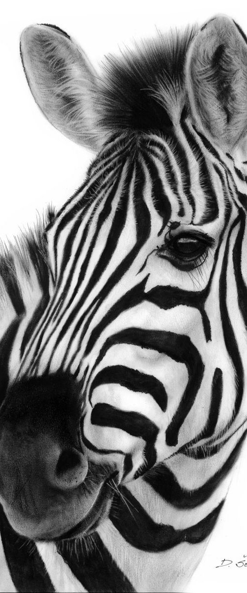 Zebra by Danguole Serstinskaja