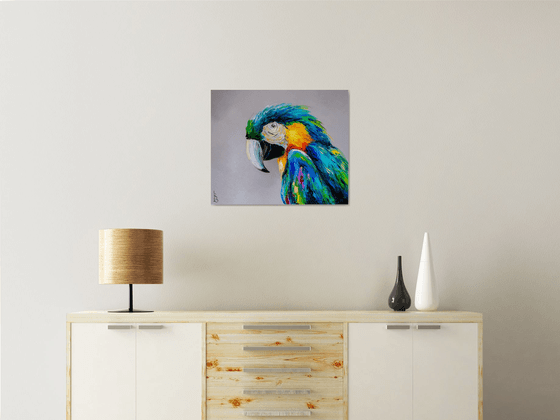 Macaw 2