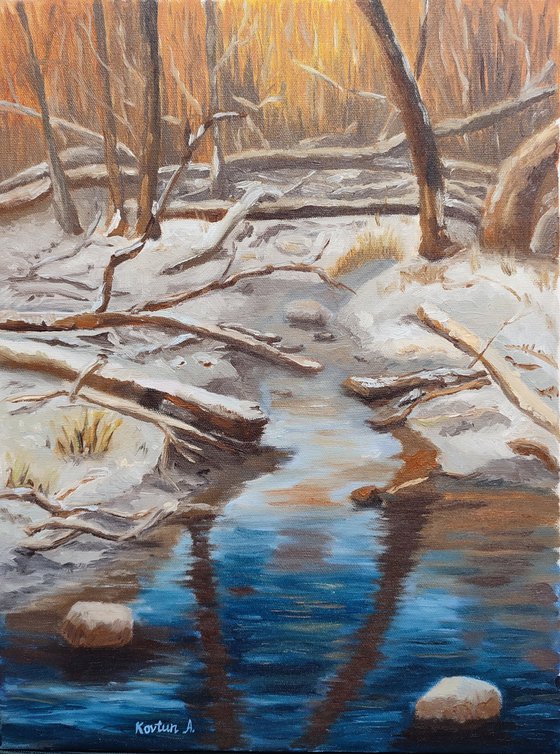 River in winter forest