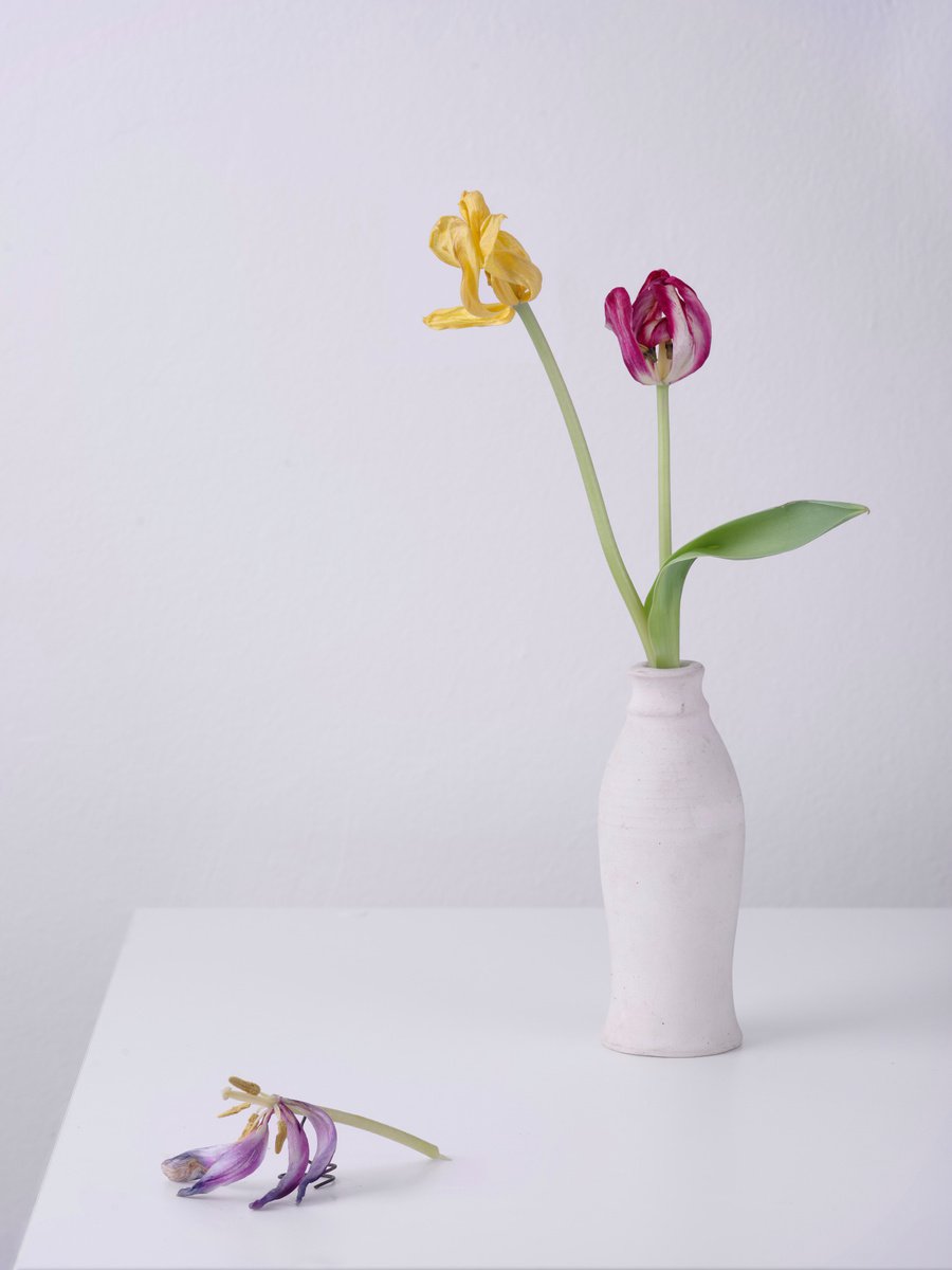 Still life 9. Tulips 3. by Pavel Oskin