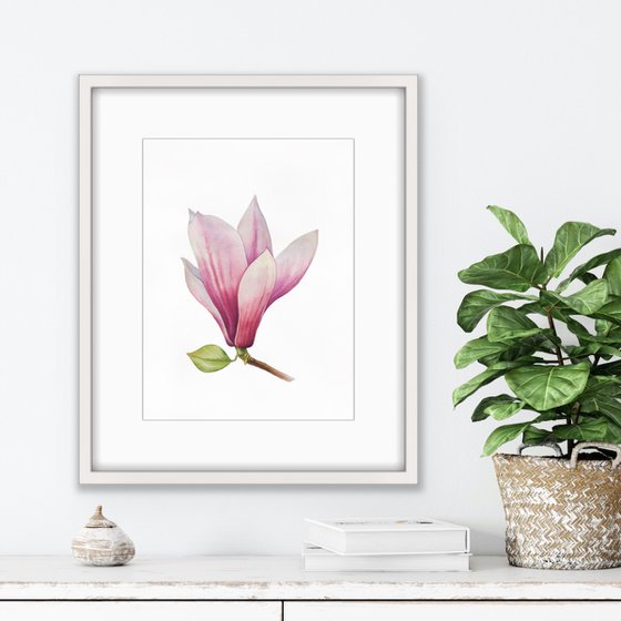 Magnolia blossom. Original watercolor artwork.