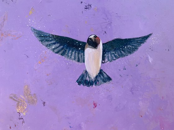 Swallows and Butterflies