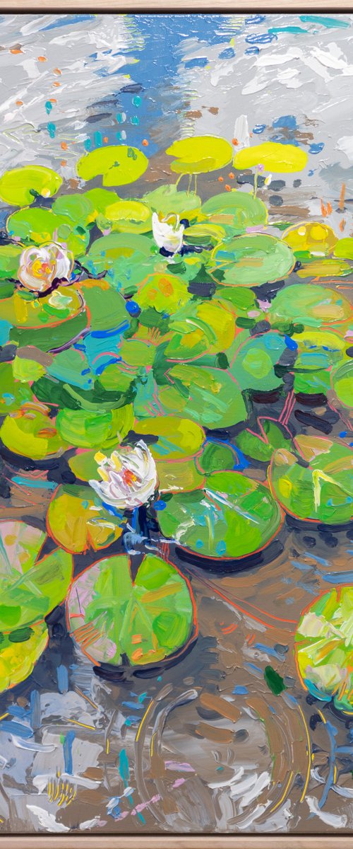 Tasman Lily Pond 43 by Joseph Villanueva