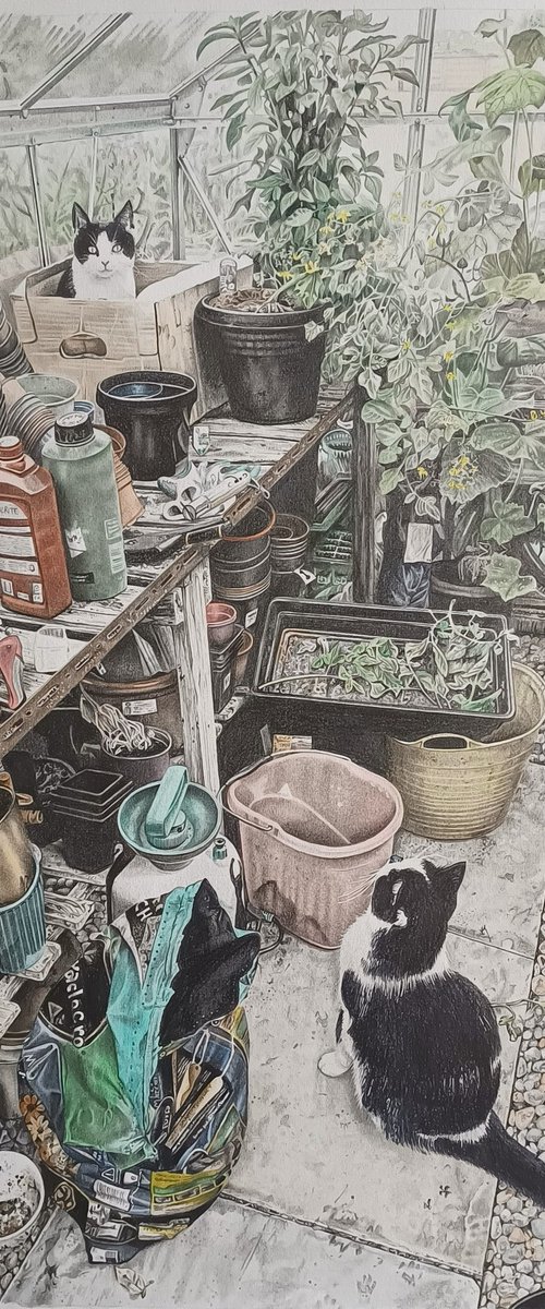 Chillies, Cucumbers, Tomatoes and Cats by Joanne  Hill