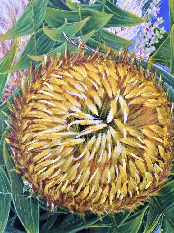 Come A Little Bit Closer - Banksia baxteri