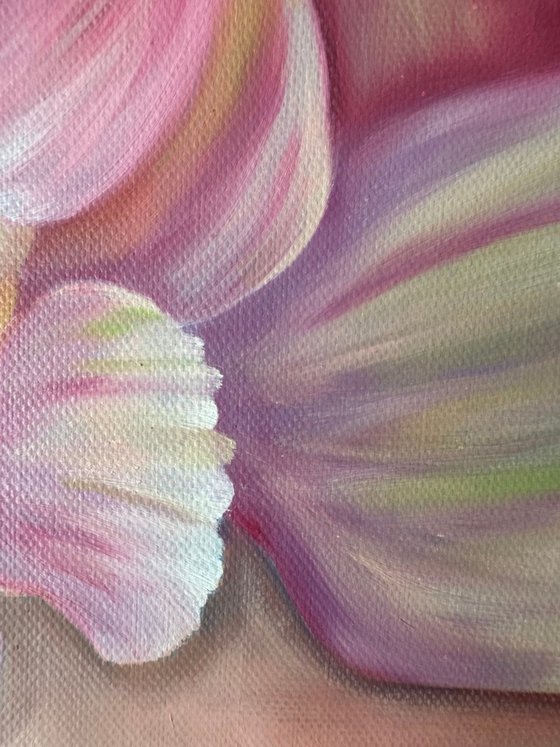 In floral tenderness