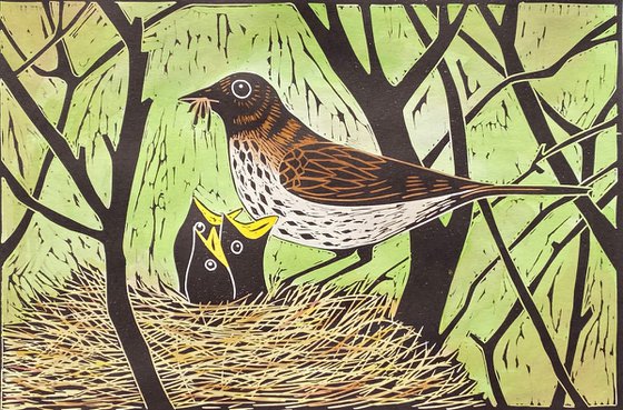 Nest of Thrushes. 22/100