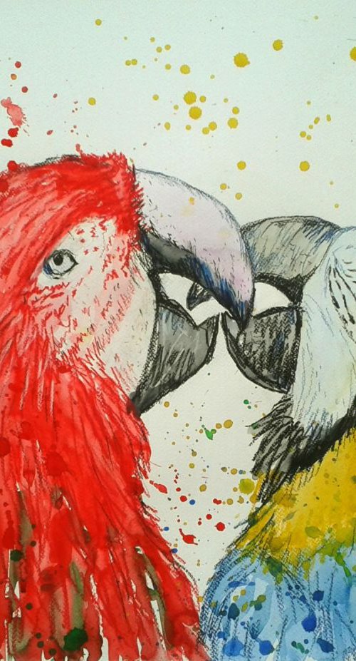 "Parrot love" by Marily Valkijainen