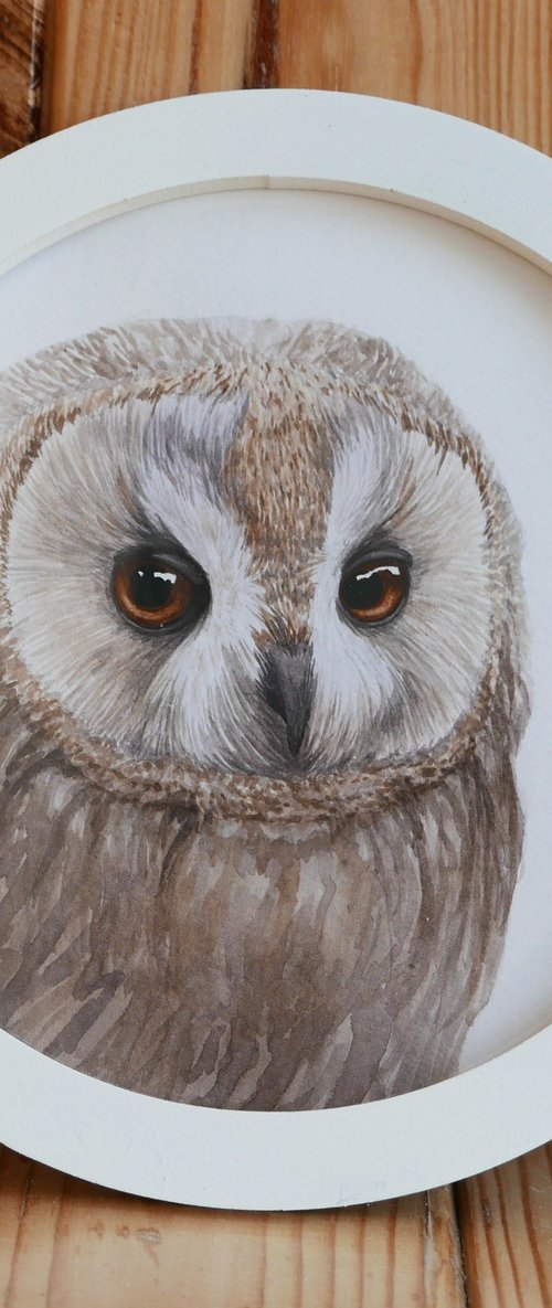 Framed owl. Part 1. by Karina Danylchuk
