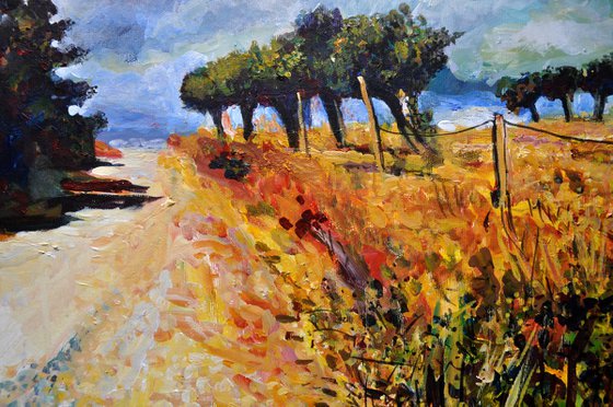 Autumn Road with Olive Trees in Alentejo
