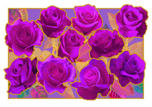 Magenta Roses by Rod Vass