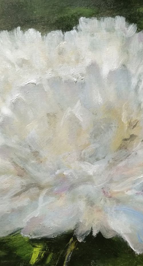 Flower1 by Vishalandra Dakur