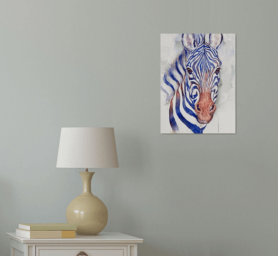 Zebra Calum