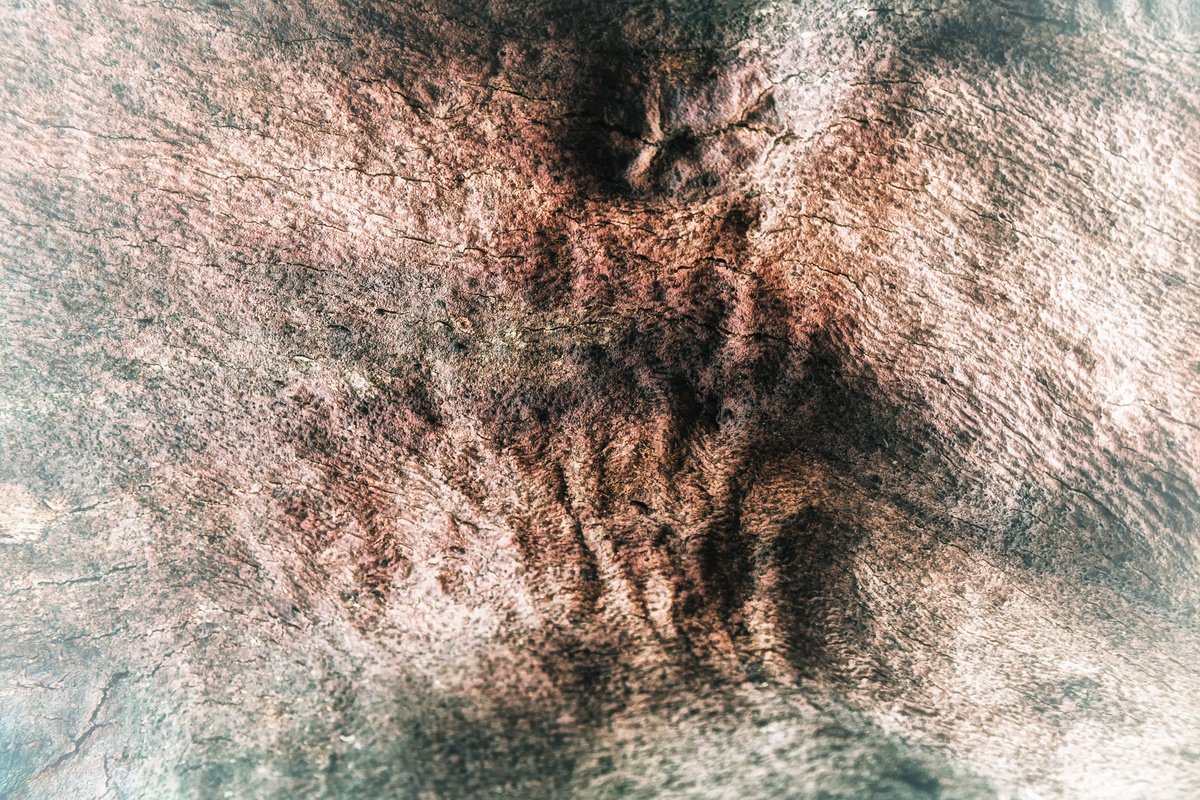 Abstract Botanical Photograph By Karim Carella, 51 X 35", Lifeblood #44, Original Artwork