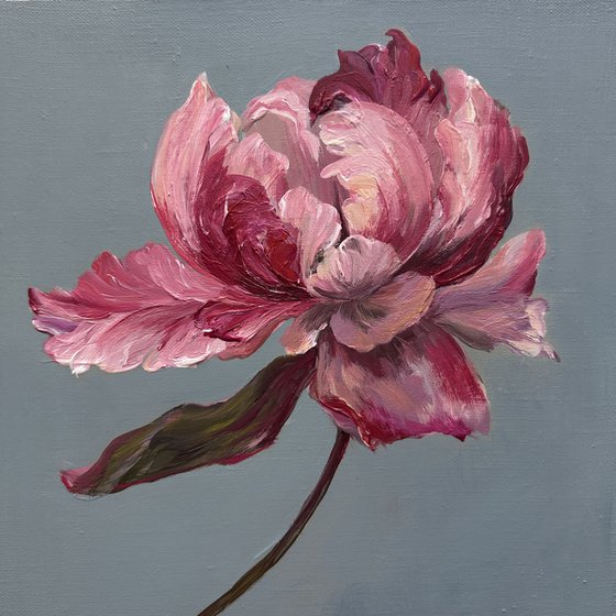 Pink miracle. Peony.