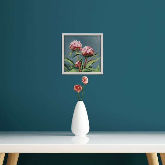 Peony. Flowers.