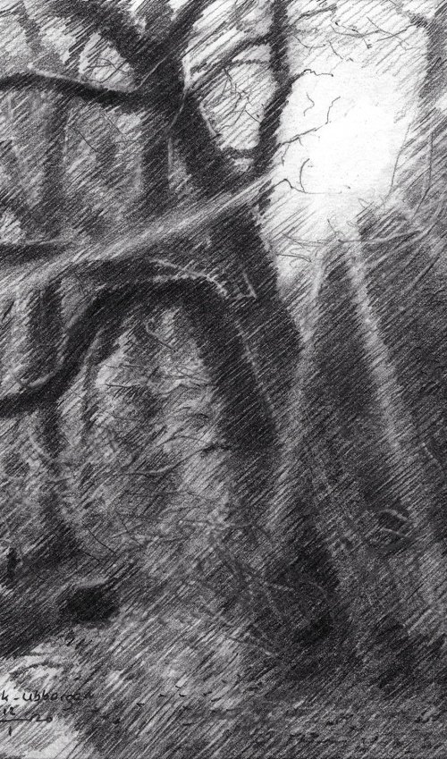 Beek-Ubbergen – 12-01-26 by Corné Akkers