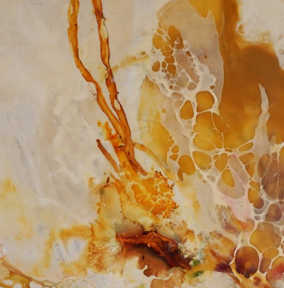 Combustion Field