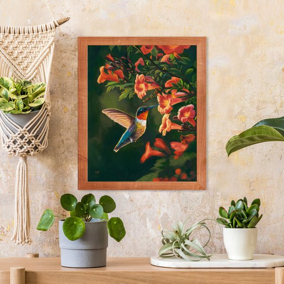 Hummingbird with trumpet vine