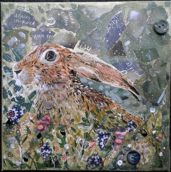 Meadow Hare