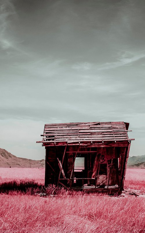 Abandoned, Lucerne Valley by Mark Hannah