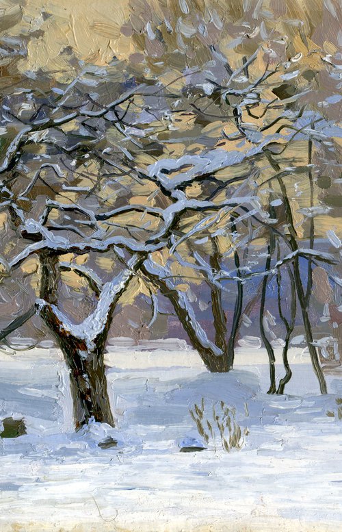 Apple tree in the snow by Simon Kozhin