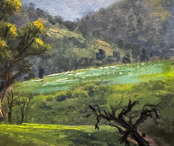 Elders Range Flinders