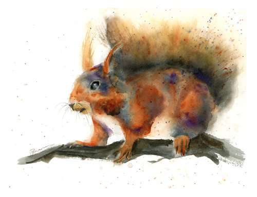 Squirrel on the branch by Olga Shefranov (Tchefranov)