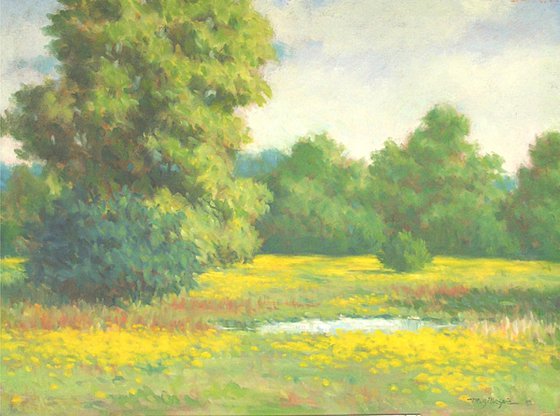Field with Yellow Flowers