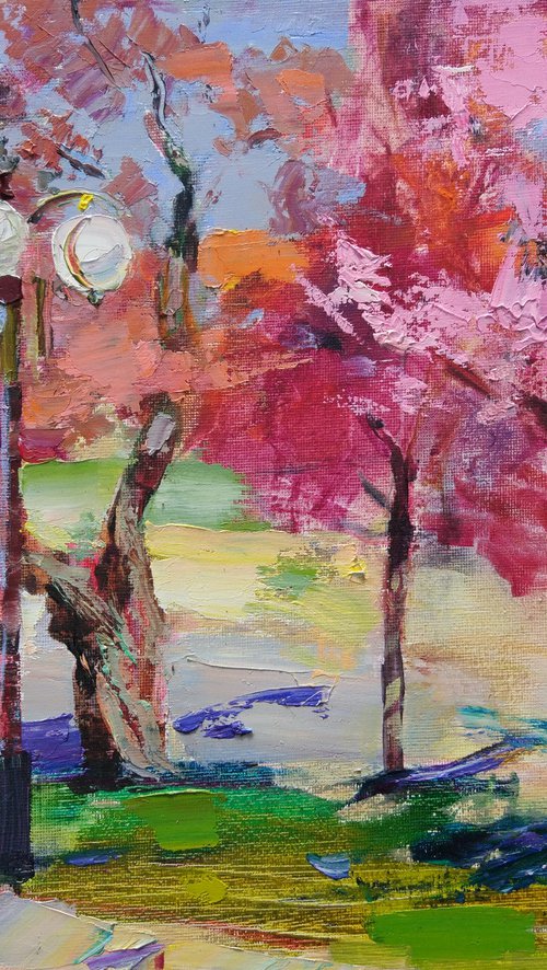 Walk under the cherry blossoms of Uzhgorod. Ukrainian landscape. Original plein air oil painting . by Helen Shukina