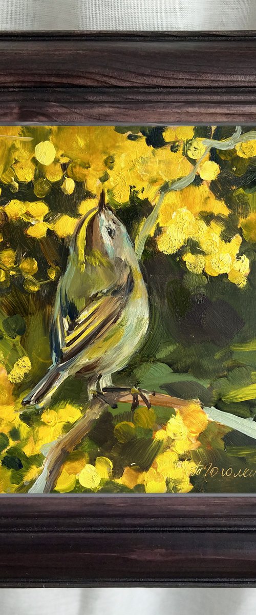Goldcrest bird by Tatiana Gogolkina