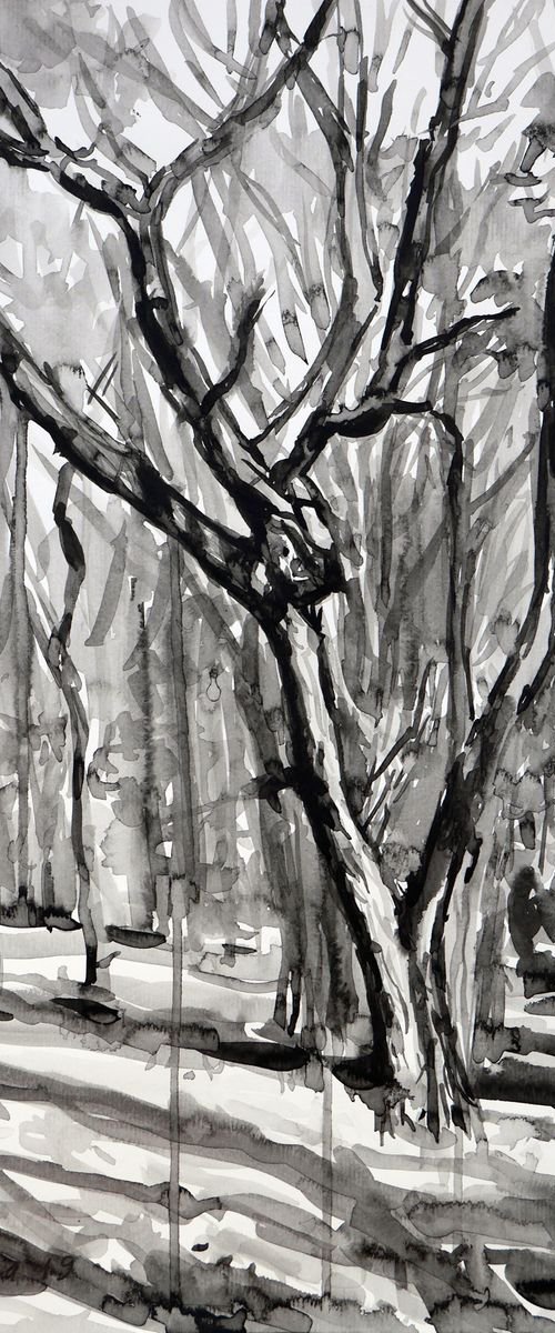 Old tree in autumn park (ink) by Dima Braga