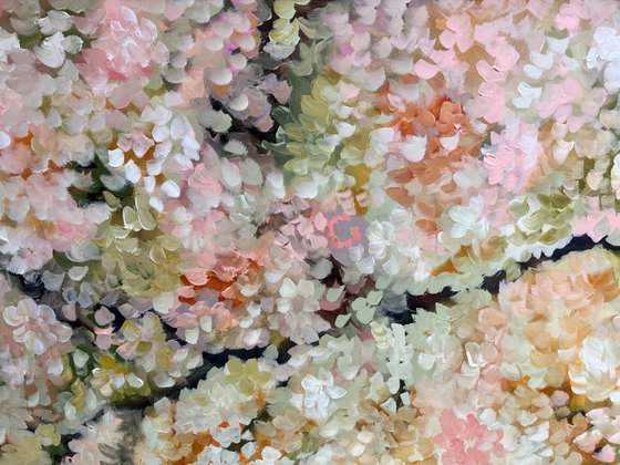 Blossoms