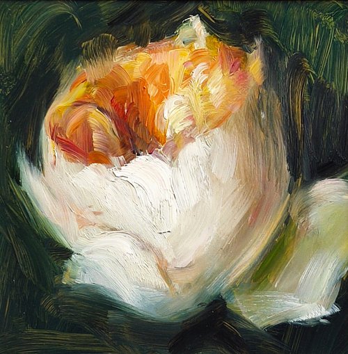 Three Beautiful White Roses by HELINDA (Olga Müller)