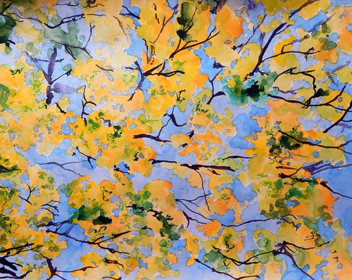 Yellow leaves by Richard Freer