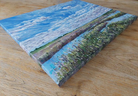 Ouse Fen