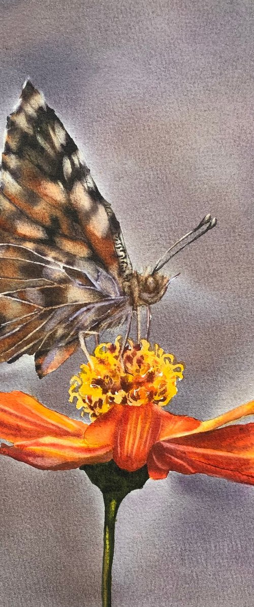 Butterfly on flower by Alina Karpova