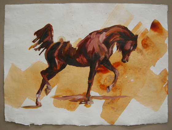 Arabian V (study)