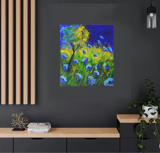 Blue poppies