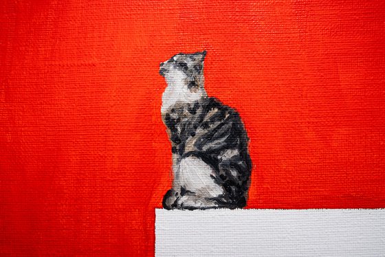 Confident Cat Vibes