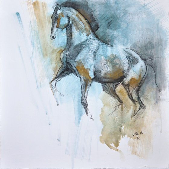 Equine nude 7t