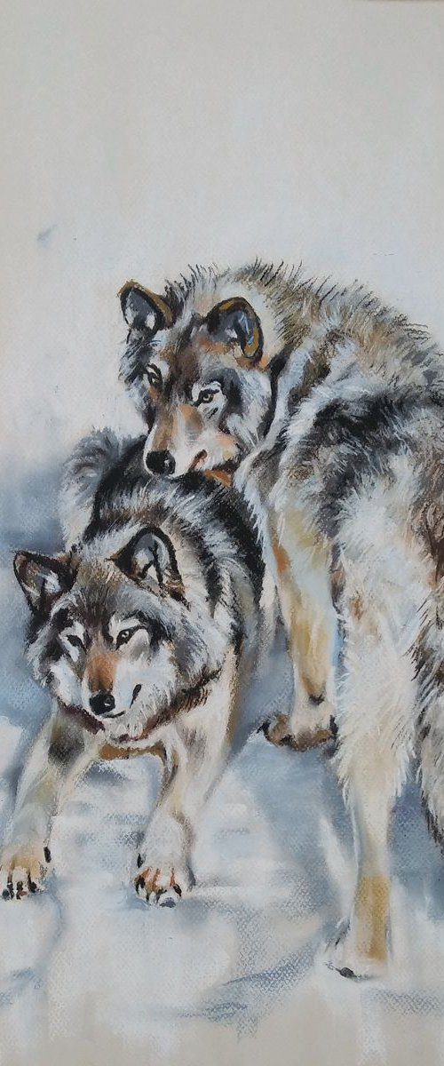 Wolves on snow II by Magdalena Palega