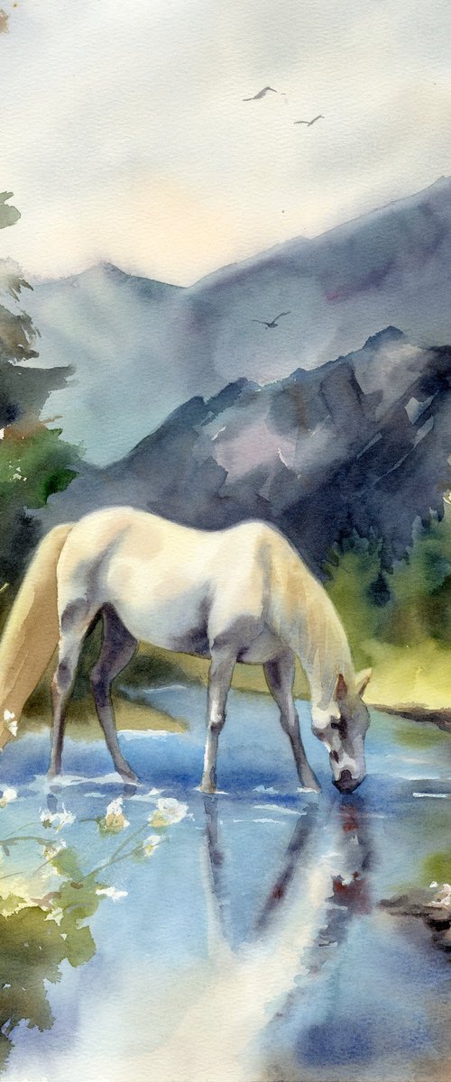 White Horse / Mountain Stream by Yulia Evsyukova