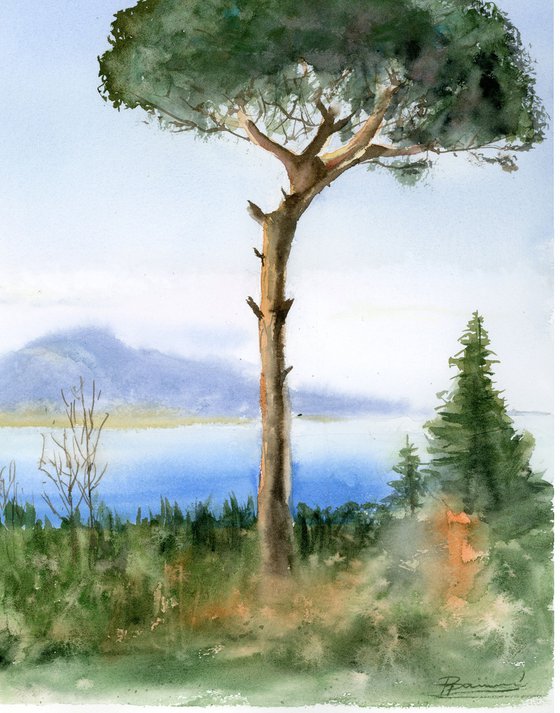 Captivating Italy: Pine Tree with Mount Vesuvius Backdrop